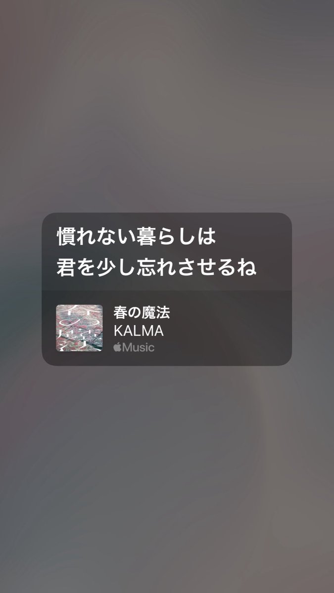 元犬 tweet media