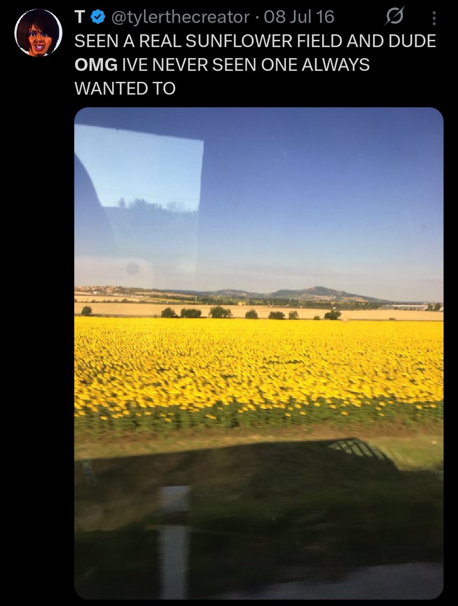 princess 𝄞hegor saw TYLER tweet media