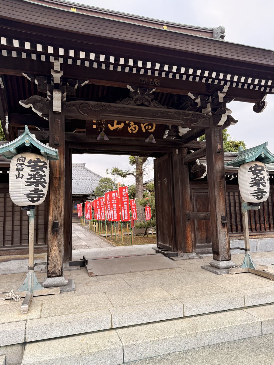 いど 清貴🏊川崎市議会議議員(中原区)/国民民主党/選挙ドットコム更新中 tweet media