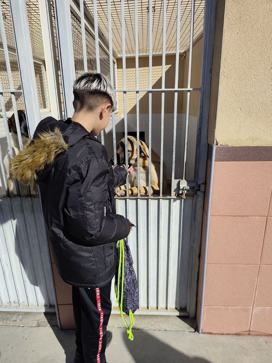 iestdp's tweet photo. Visita al Centro de Protección Animal Municipal #PasaporteVerde. 1ºB ha estado en contacto con el camaleón una especie endémica   en peligro de extinción. También hemos visitado la zona donde se recuperan perros, gatos, gallos o caballos que han sido abandonados o maltratados.🥰 https://t.co/BcCOGnhVQC
