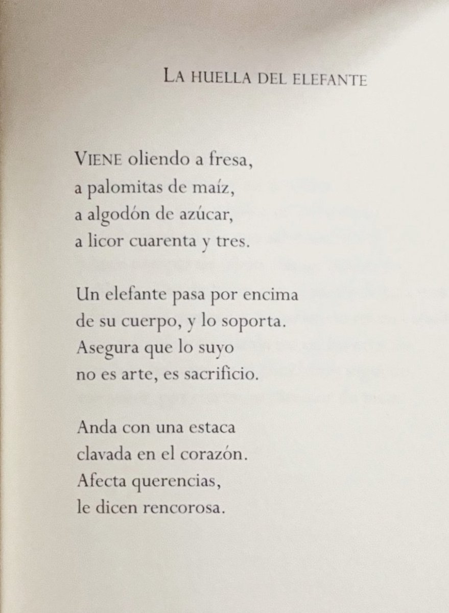 Pidal Montes #Oficialidá tweet media