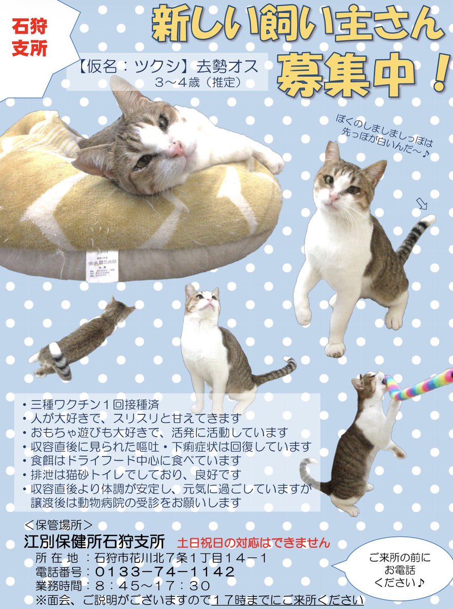 おねっさん tweet media