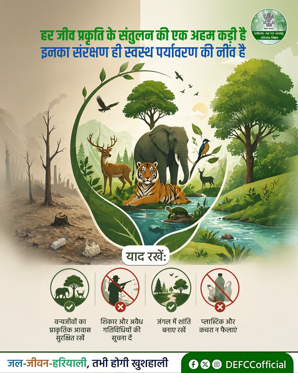 वन्यजीव प्रकृति के संतुलन की महत्वपूर्ण कड़ी हैं। इनके संरक्षण से ही स्वस्थ पर्यावरण का निर्माण संभव है।
आइए, प्राकृतिक आवासों की सुरक्षा, स्वच्छता और जागरूकता के माध्यम से वन एवं वन्यजीवों के संरक्षण में अपना योगदान दें।

<a href="/IPRDBihar/">IPRD Bihar</a> <a href="/moefcc/">MoEF&CC</a> 

#WildlifeConservation #SaveNature