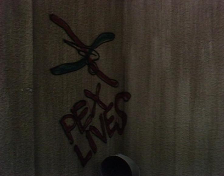 DoctorWhoPix's tweet image. Paradise Towers #DoctorWho #DrWho