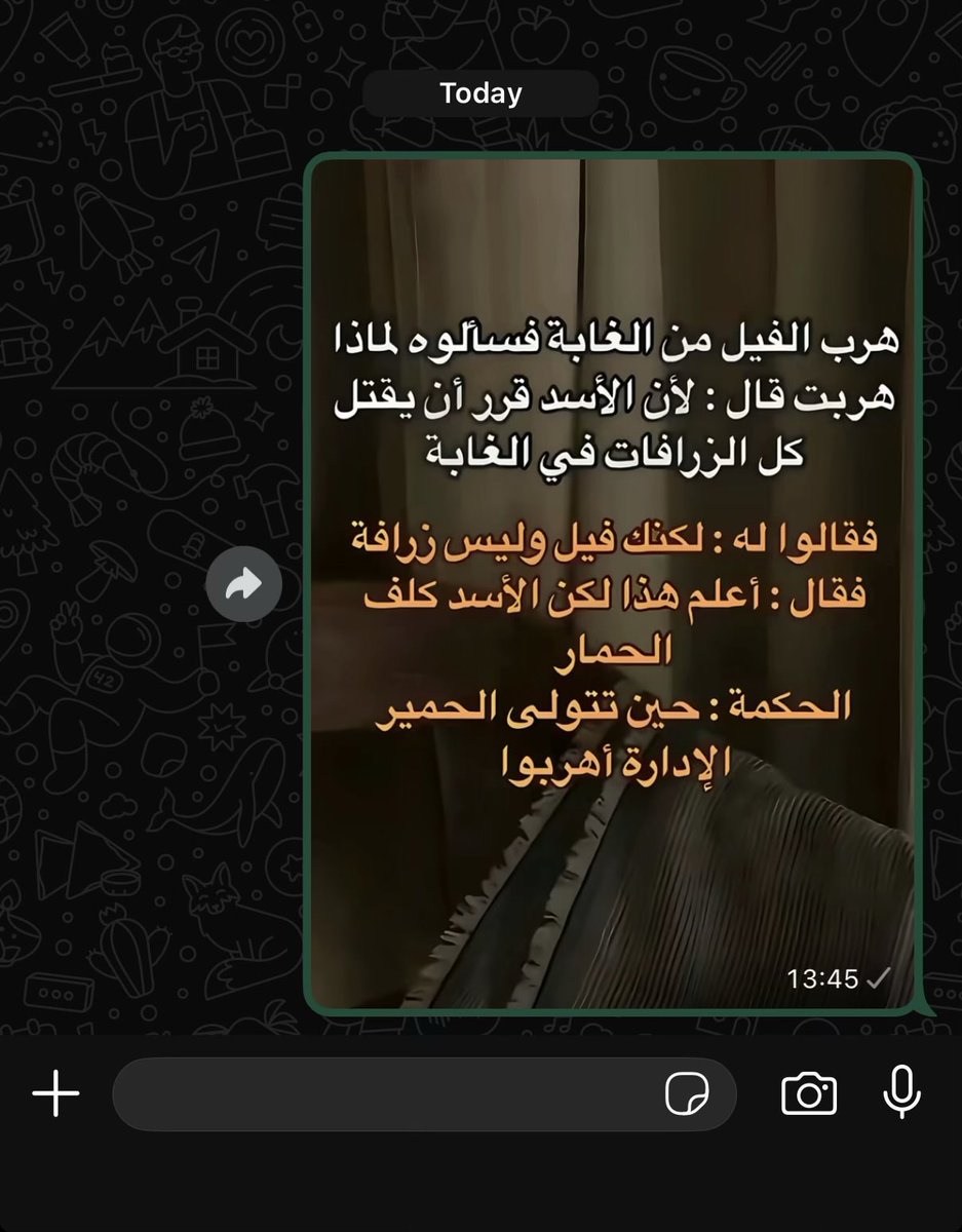 Hamed tweet media