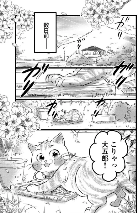 その猫!大五郎!!【単話版】 
Renta!さんでも配信されてるよ! 