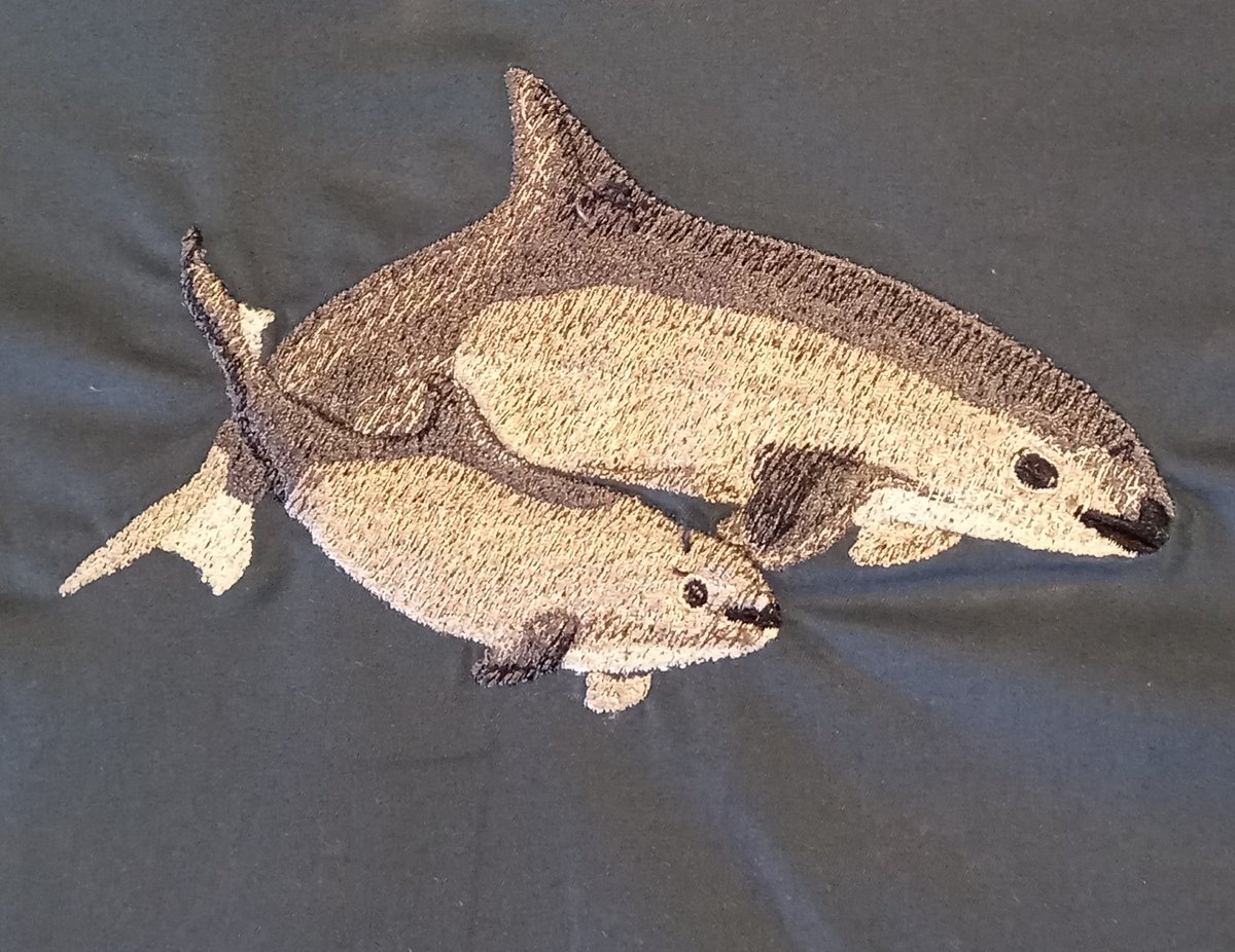 Rengosi1's tweet image. Embroidery of endangered animal species. Part 2
Snow leopard (irbis, Manakin-araripe, Vaquita
#embroidery #вышивка