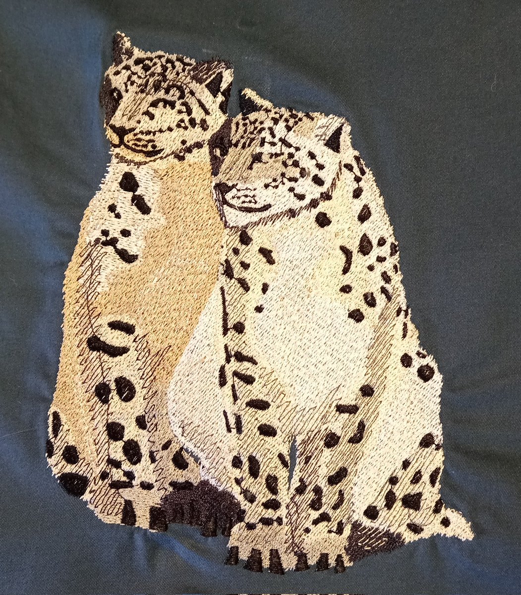 Rengosi1's tweet image. Embroidery of endangered animal species. Part 2
Snow leopard (irbis, Manakin-araripe, Vaquita
#embroidery #вышивка