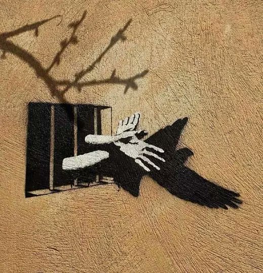 هاشم الجحدلي tweet media