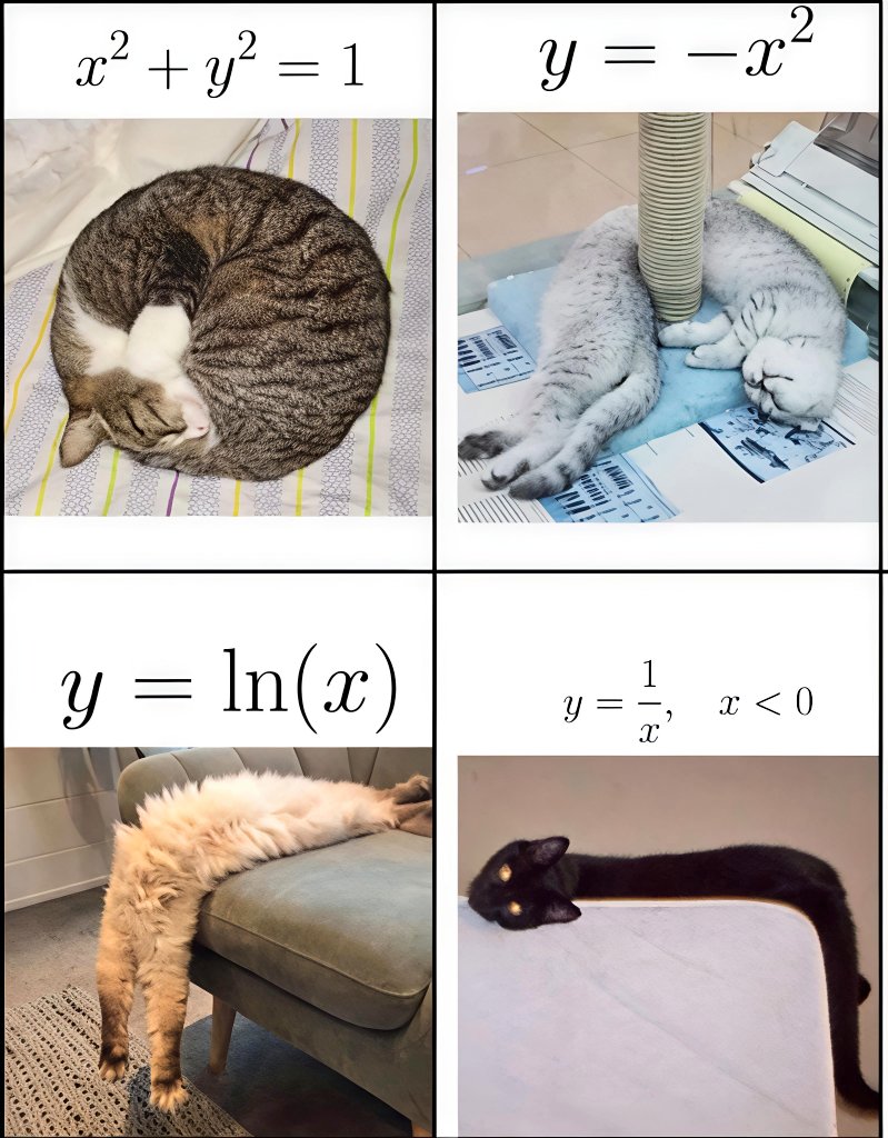 Math Files tweet media