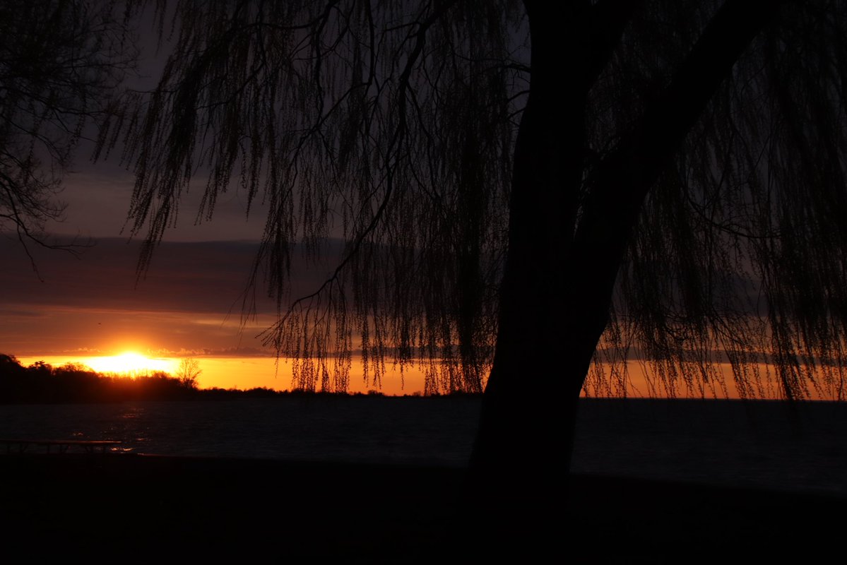 JeffTaylorPics's tweet image. Yesterdays sunrise over Lake Ontario as seen from the shoreline of Marie Curtis Park in Etobicoke 
@weathernetwork @MurphTWN @YourMorning @NewsRadioTO @LakeOntario16 #sunrise #water @RachelSchoutsen @LOWaterkeeper @ETGuardian @snapdEtobicoke @LongBranchTO