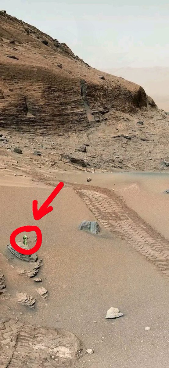 <a href="/skledimon/">Skledimon (COMMS OPEN)</a> ?????