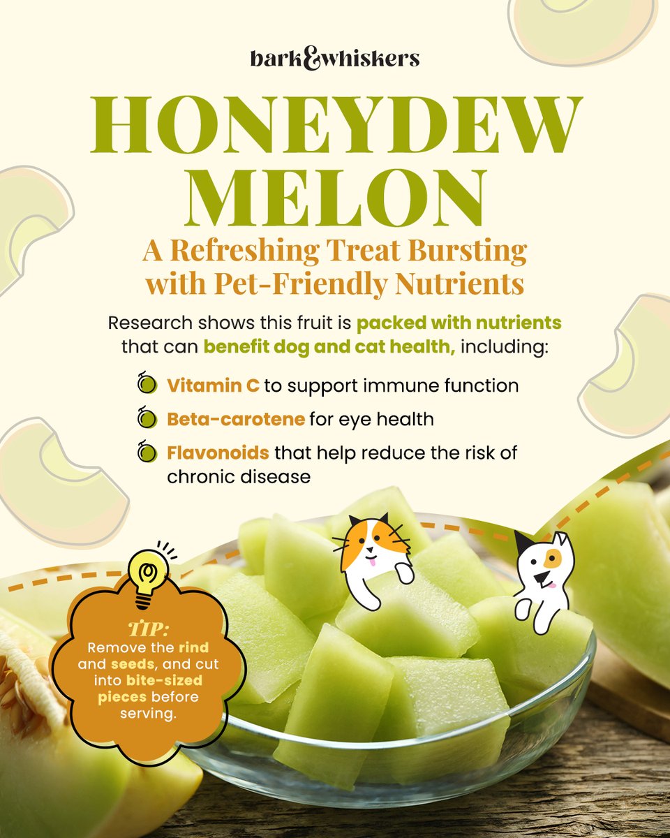 bark_whiskers's tweet photo. With warmer days ahead, honeydew is one treat worth adding to your pet's snack rotation. Explore its benefits: https://t.co/mlPzFGBiP2 https://t.co/NpUl9FRrKO