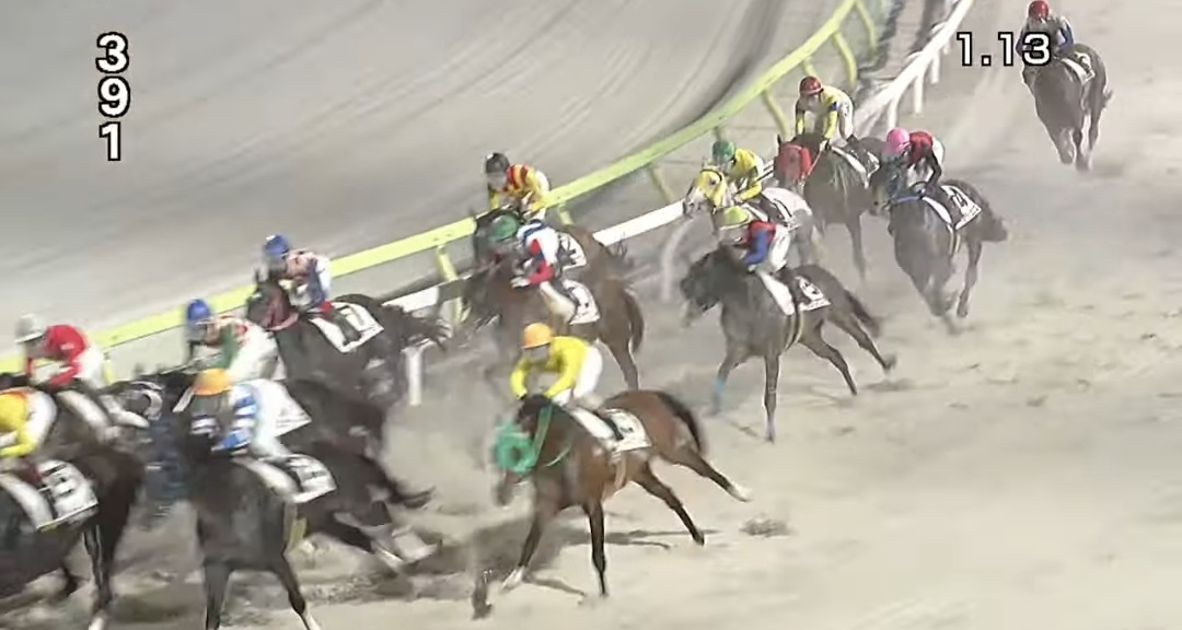 花だい tweet media