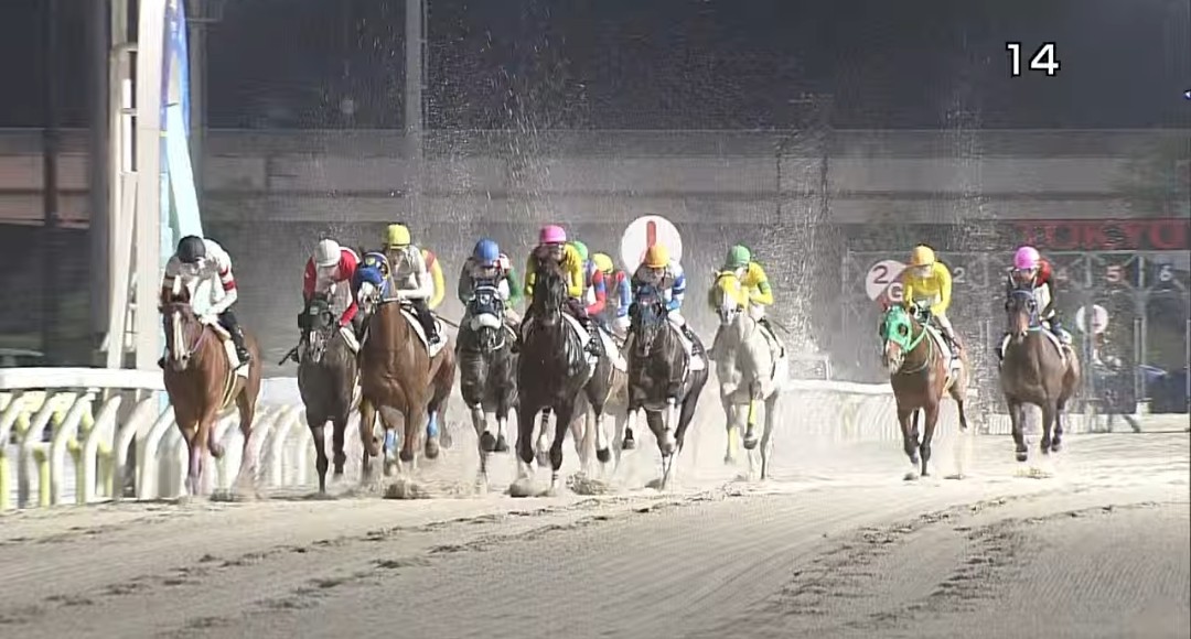 花だい tweet media