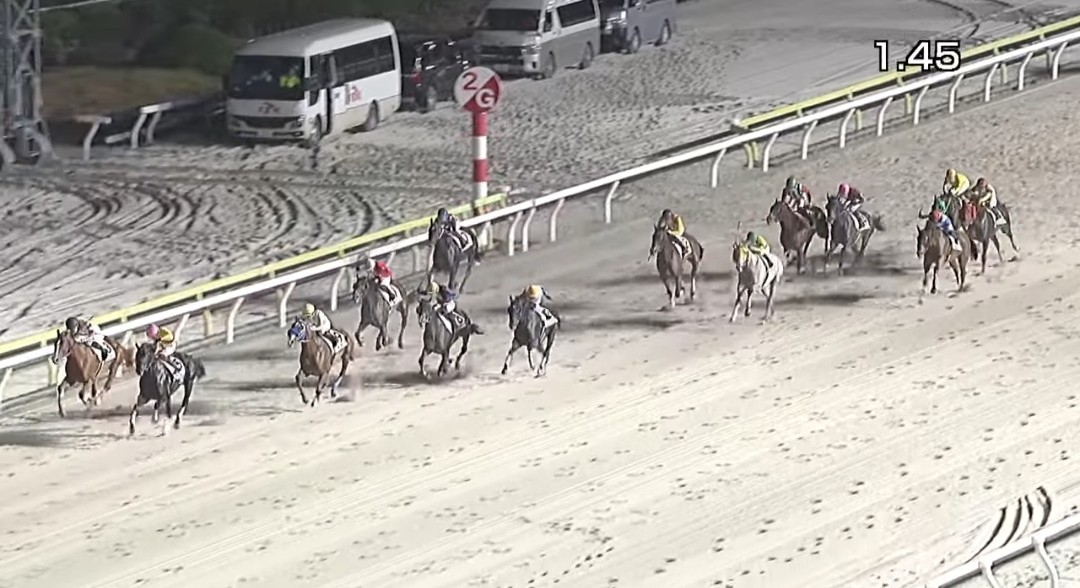 花だい tweet media