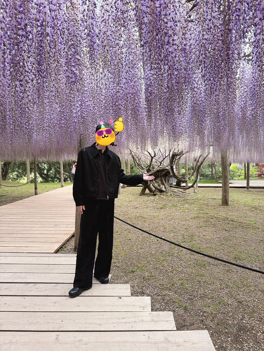 あっちゃん🦆 tweet media