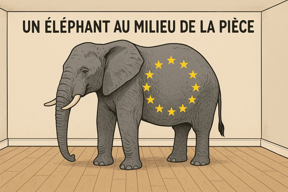 Cédric Tomas 🔥🇪🇺🔥 tweet media