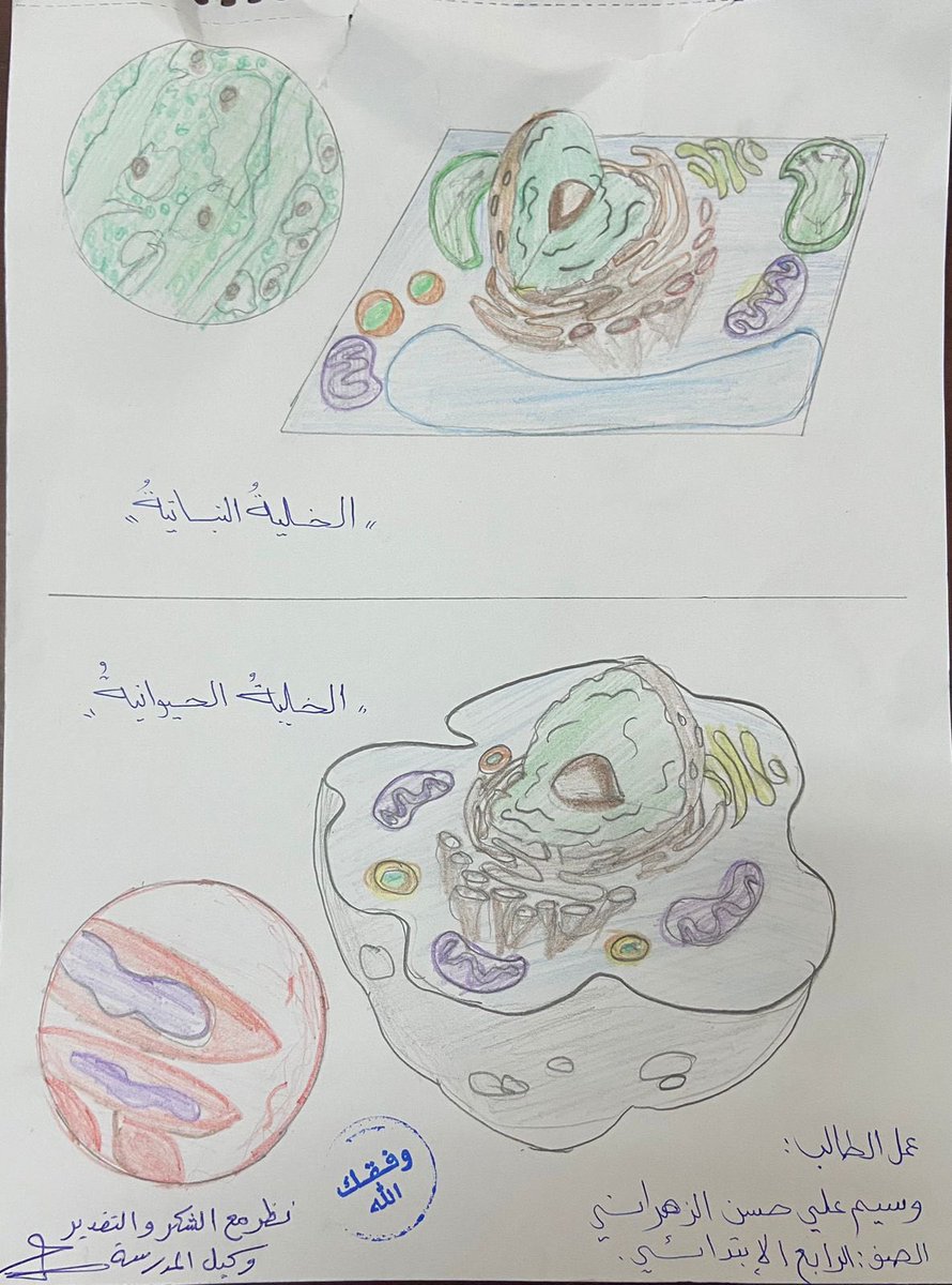 👨‍🔬 tweet media