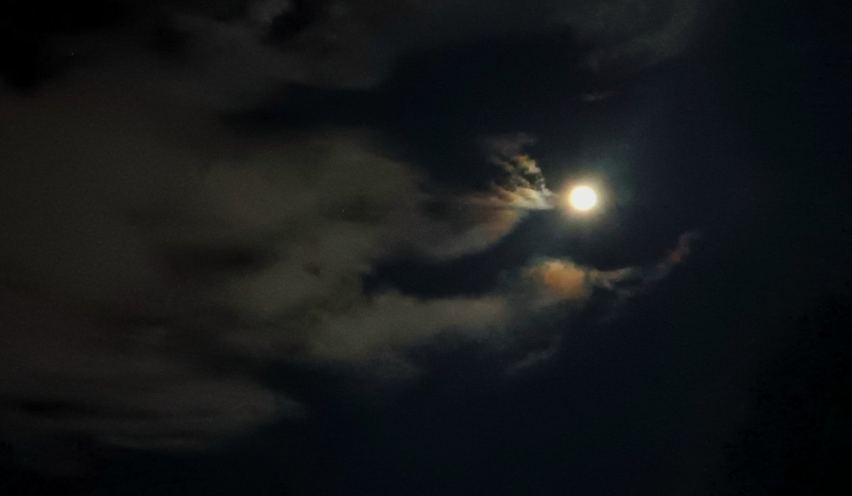 TJ Jimmy Falker tweet media