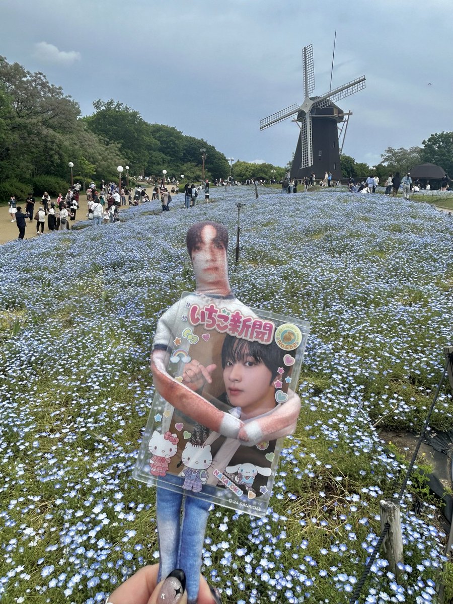 미카(みか)🧸𖤐 ´- tweet media