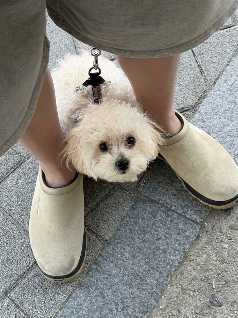 코드 tweet media