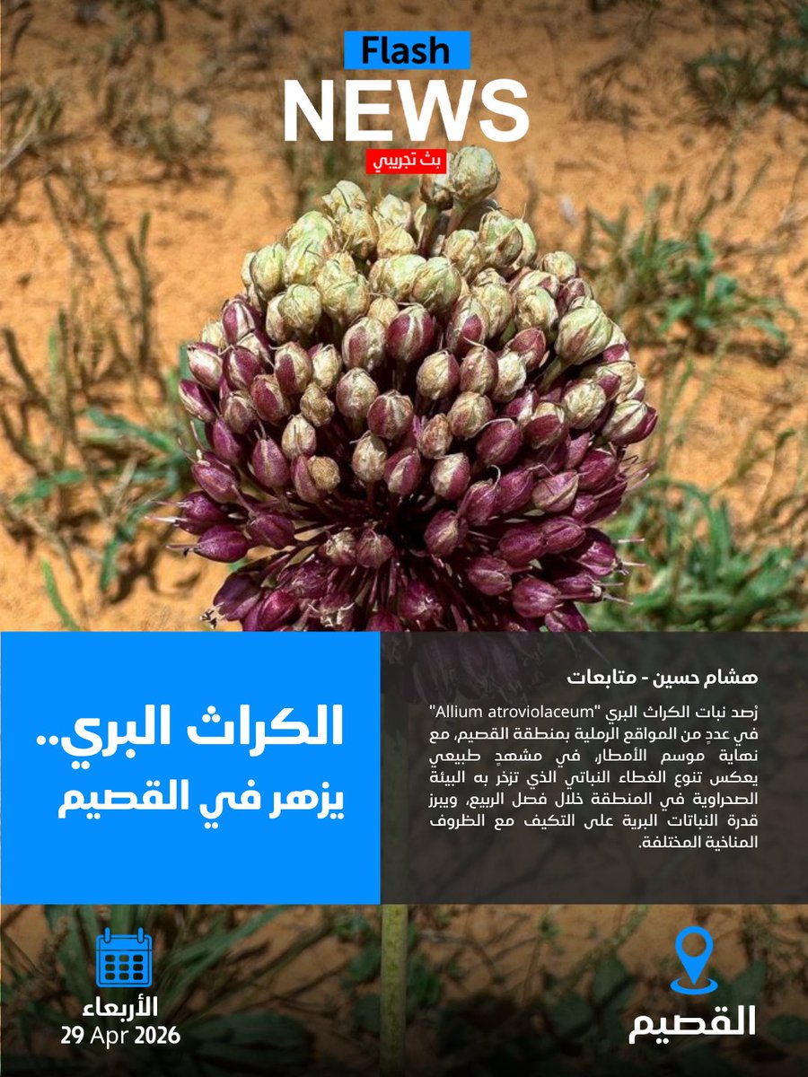 فلاش نيوز tweet media