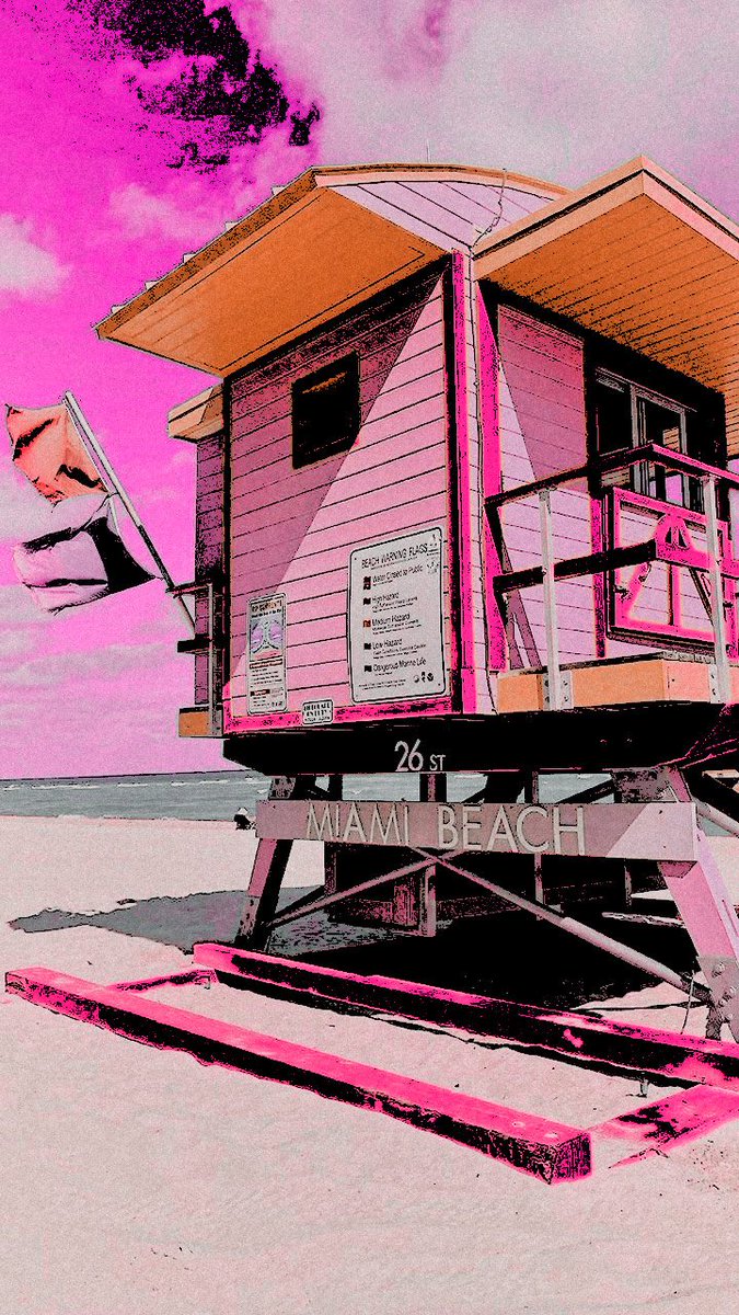 ͏ ͏ ͏ ͏ ͏ ͏ ͏ ͏ ͏𝐒͟𝐇͟𝐎͟𝐖 𝒈𝒊𝒓𝒍. tweet media