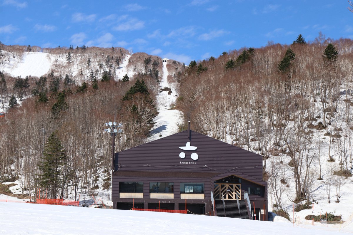 索道野郎▷索道部 tweet media