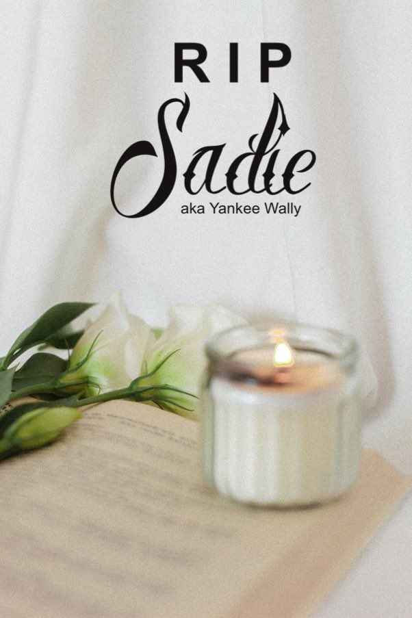 ROYAL Nemesis tweet media