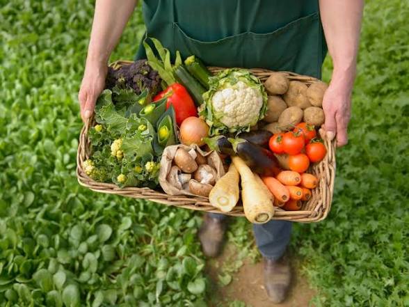 Agronomy is the science and technology of producing plants for food, fuel, fiber, and land reclamation, focusing on soil management and crop production.