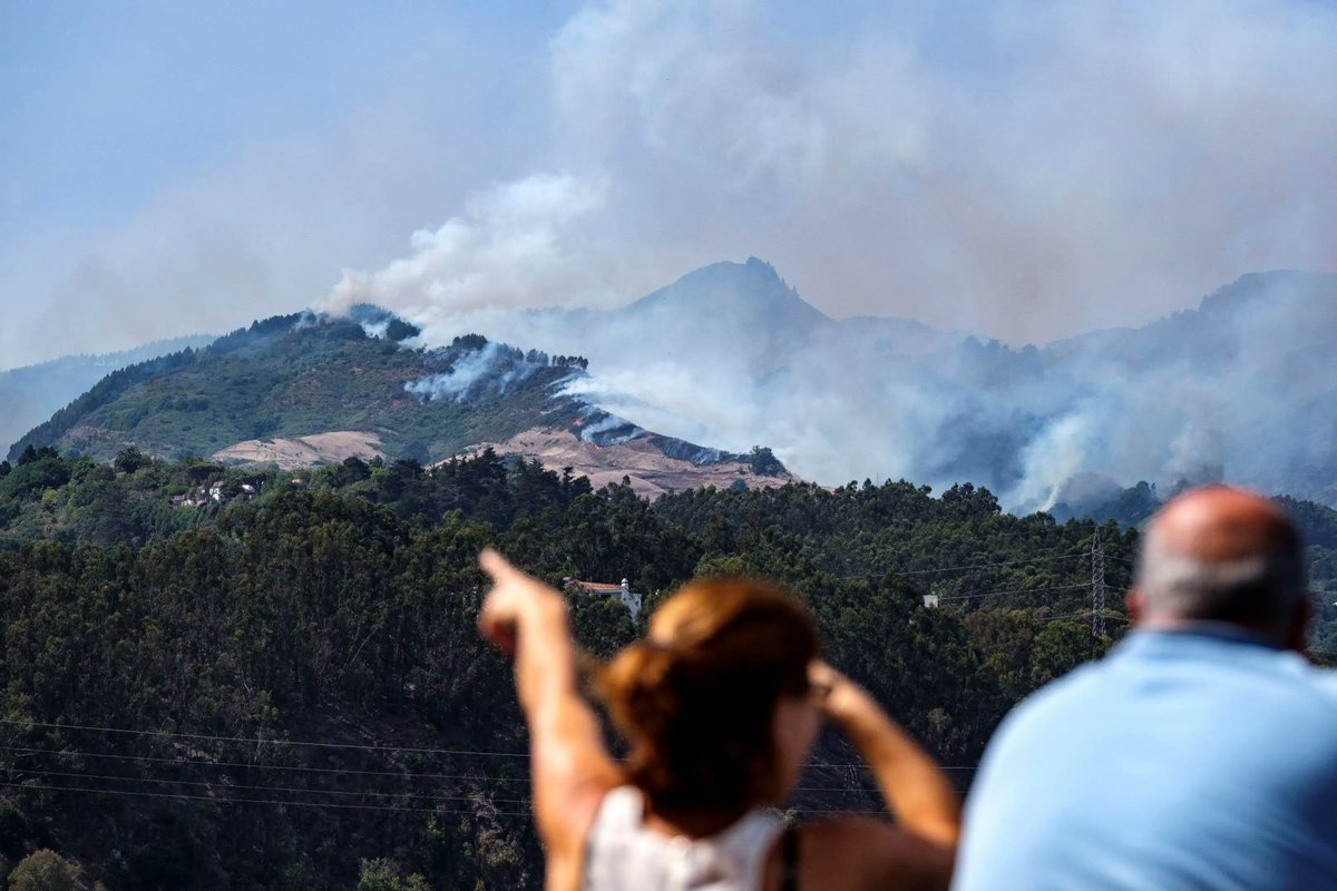 FenixCanarias's tweet photo. Hoy en Moya se ha puesto a prueba algo clave. Cómo respondemos juntos ante un incendio forestal 🔥
Los simulacros tienen mucho valor. Son ensayos donde se detectan fallos, se mejora la coordinación y, sobre todo, sirve para que la población pueda estar informada y autoprotegerse.
#SimulacroIFMoya