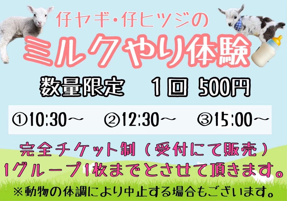 ダチョウ王国 石岡ファーム(公式) tweet media