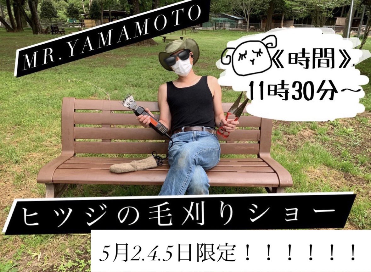 ダチョウ王国 石岡ファーム(公式) tweet media
