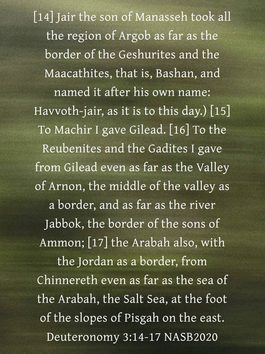 LyaSjoy's tweet photo. Deuteronomy 3:14-17 NASB2020
[14] Jair the son of Manasseh took all the region of Argob as far as the border of the Geshurites and the Maacathites, that is, Bashan, and named it after his own name: Havvoth-jair, as it is to this day.) [15] To Machir I gave Gilead. [16] To the... https://t.co/asXZmPeeyt