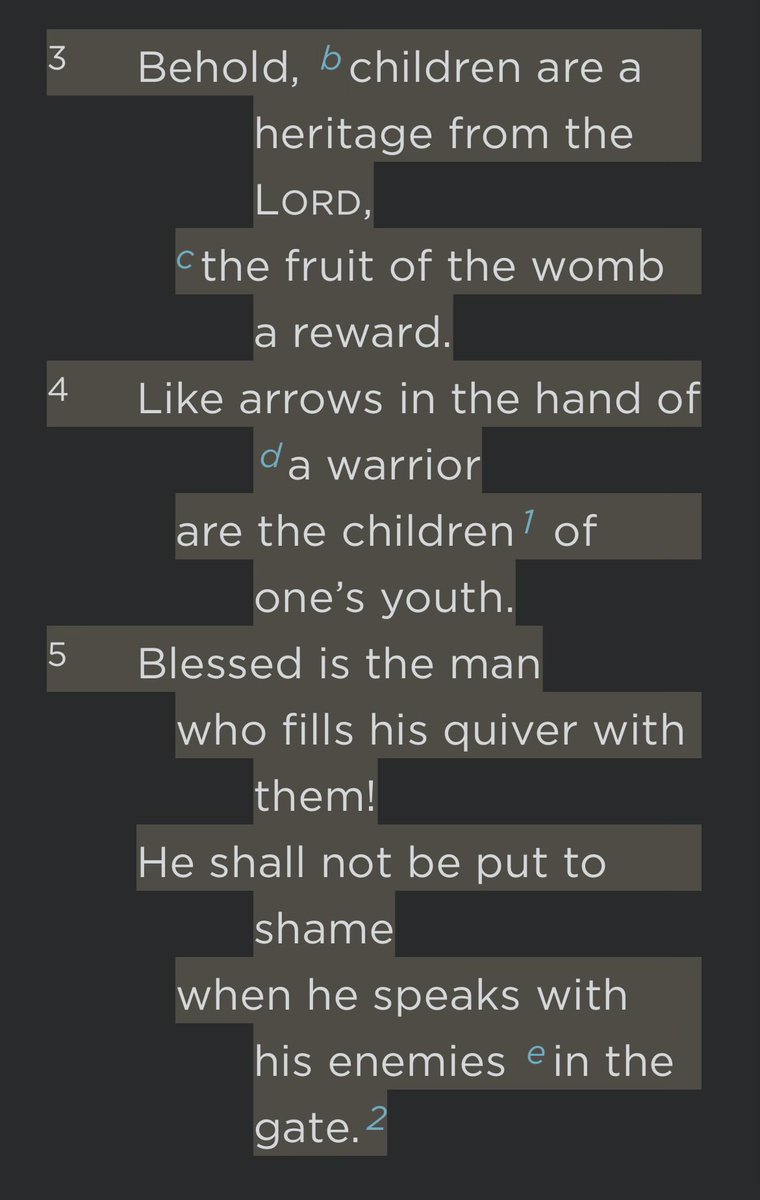 Son Of Numenor tweet media