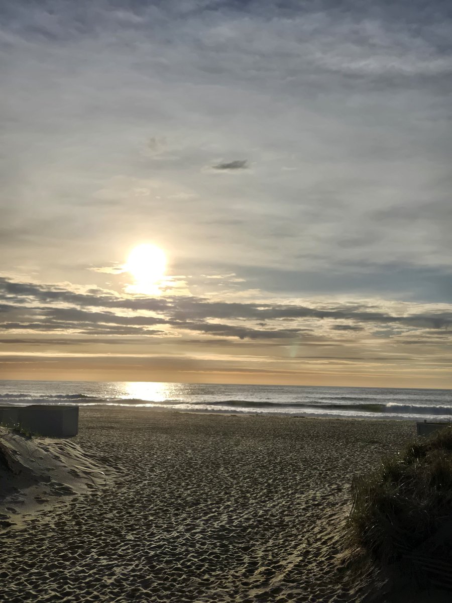 NJBearsFan 🐻⬇️ tweet media