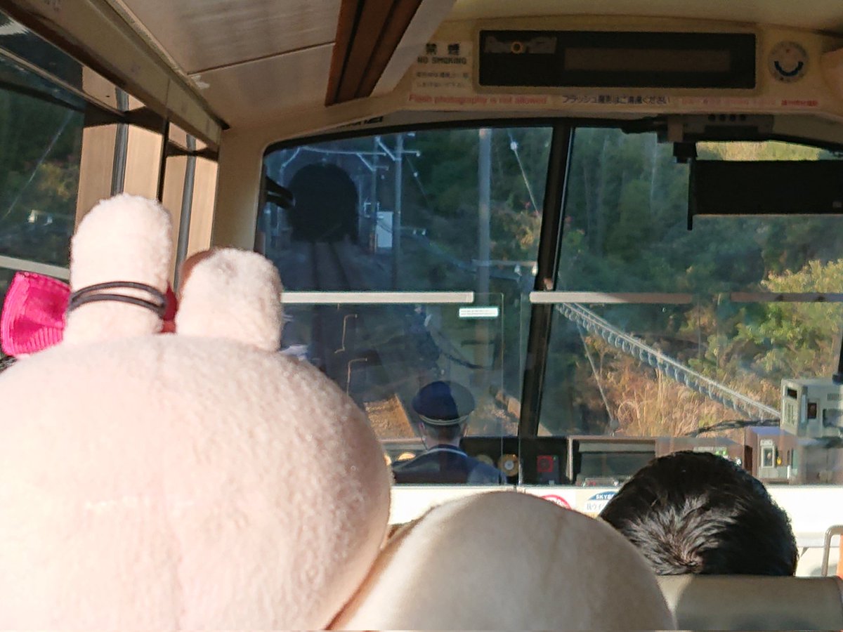 しょうちゃん tweet media