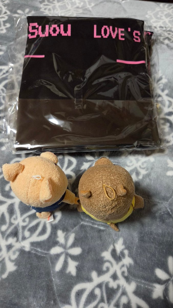 左門(🧢🐧🦭) tweet media