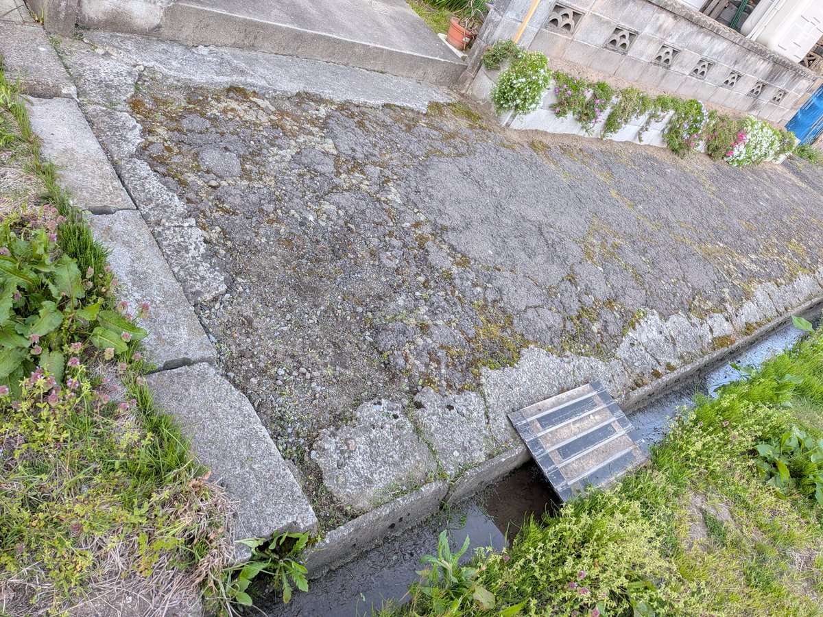 釣り吉三平 tweet media