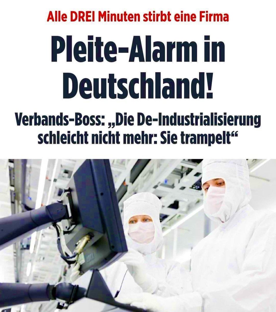 Splinters tweet media