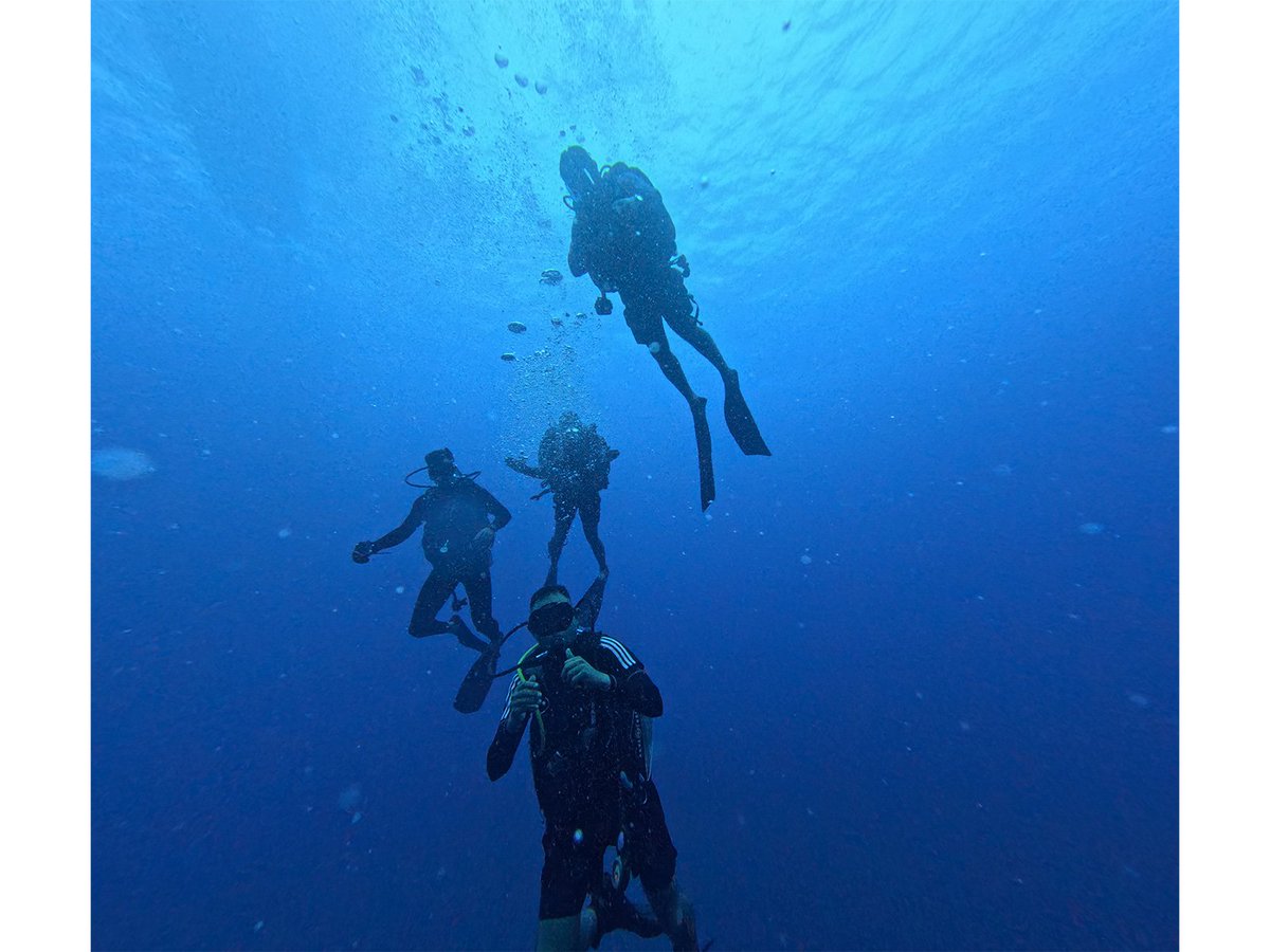 ani_digital's tweet photo. India, Sri Lanka reaffirm maritime partnership through bilateral diving exercise
Read @ANI Story | https://t.co/59OWWpgqpx
#India #SriLanka #IndianNavy #DIVEX #SriLankanNavy https://t.co/hD7g19ZHmr