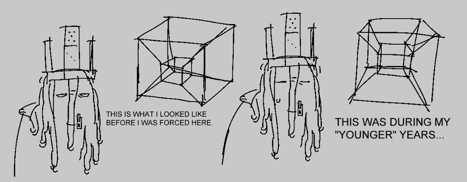 🧨GROWL tweet media