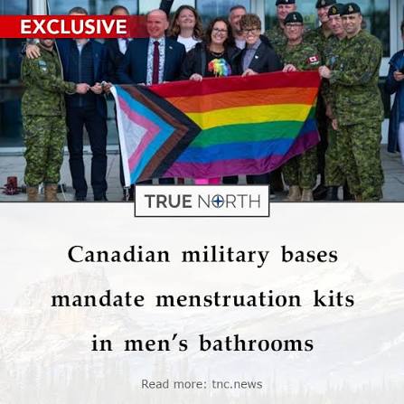 David Mcdonald tweet media