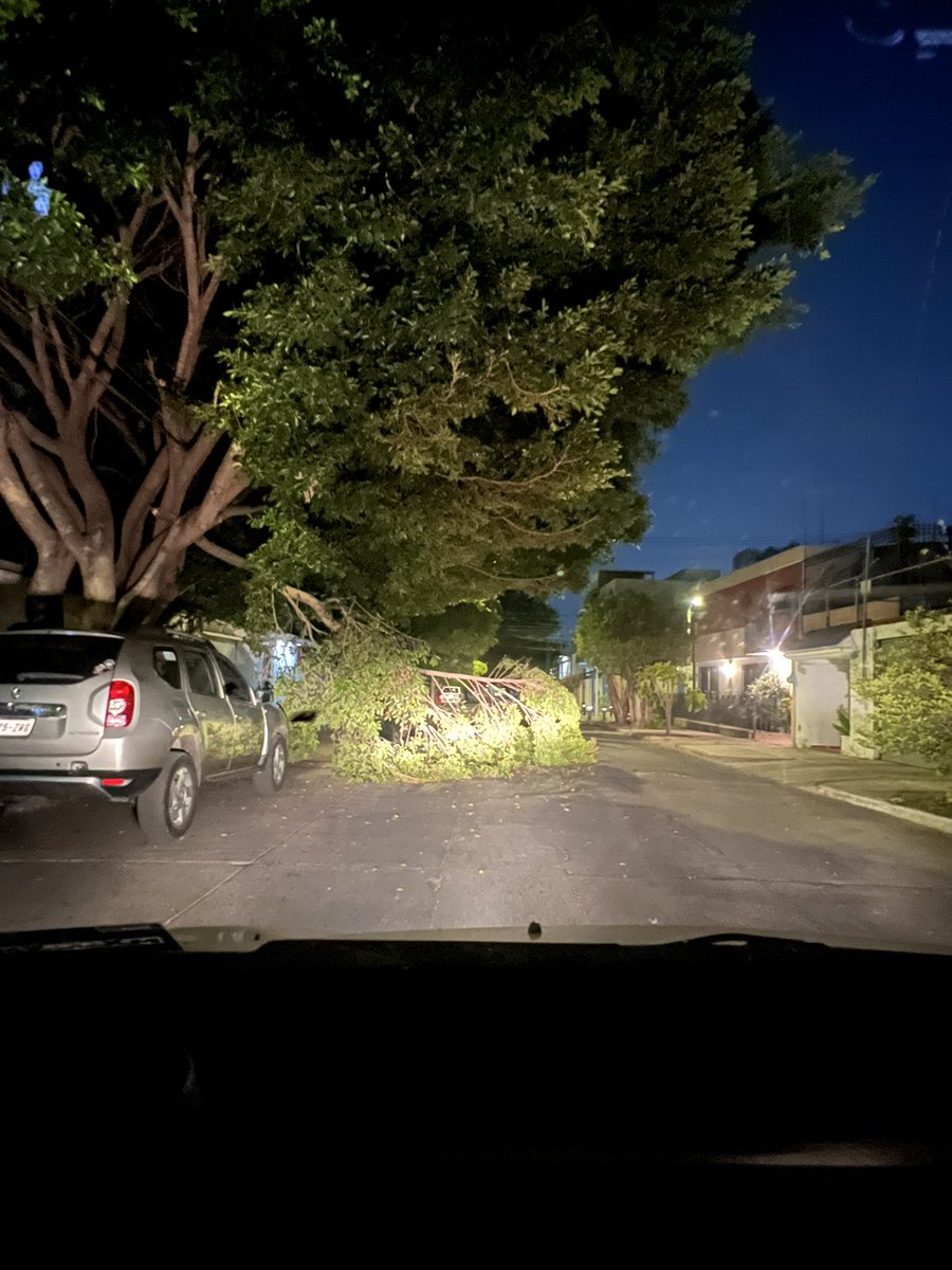 ckloro's tweet photo. @GuadalajaraGob porfa en calle Hospital casi Esquina con Agustín de la Rosa en la Ladrón de Guevera hay una mega rama obstaculizando la circulación de la vialidad. Ojalá pudieran atenderla lo más pronto posible (antes de que ocurra un accidente). Gracias https://t.co/EGX797MkeU