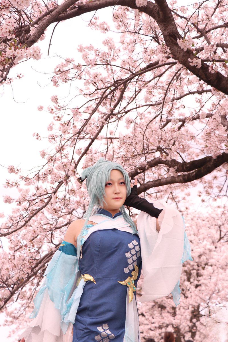 kirino98's tweet photo. 【コスプレ/cosplay】原神　歌塵浪市真君

Photo B子さん（@bikos0101 ）
機材お借りしましたあゆみさん（@odwr_abc3 ）

仙人組は桜も似合ってた🌸

#コスプレＱ２０２６桜イベント https://t.co/K8MfZ8AD2c