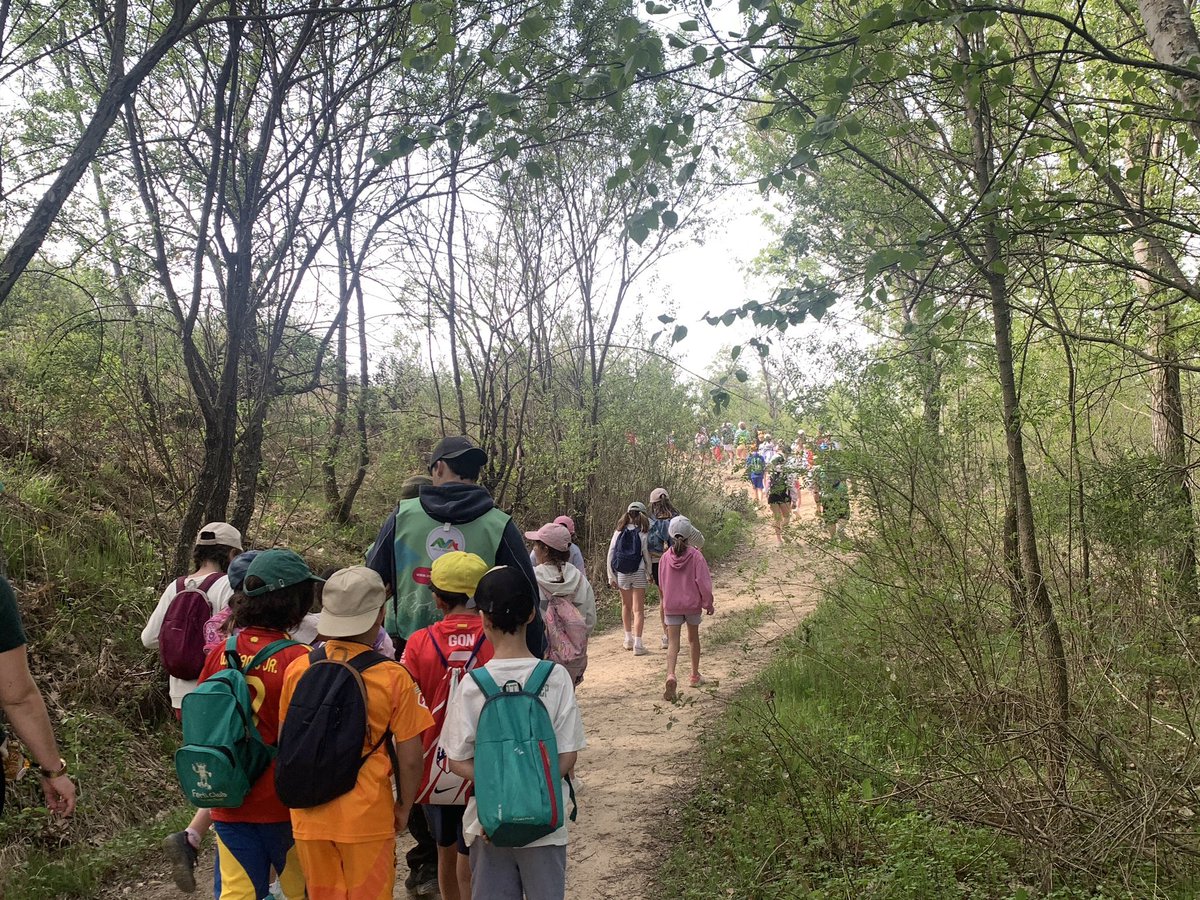 ColegioQuercus's tweet photo. Asombrosas aventuras en el corazón de la Sierra de Guadarrama.
La experiencia de nuestro alumnado de 4ºPrimaria en el @ValleAbedules ha sido más que inolvidable.
#ColegioQuercus #EducaciónPrimaria #Multiaventuras #ColesMadrid #BoadillaDelMonte https://t.co/S70FR3Zque