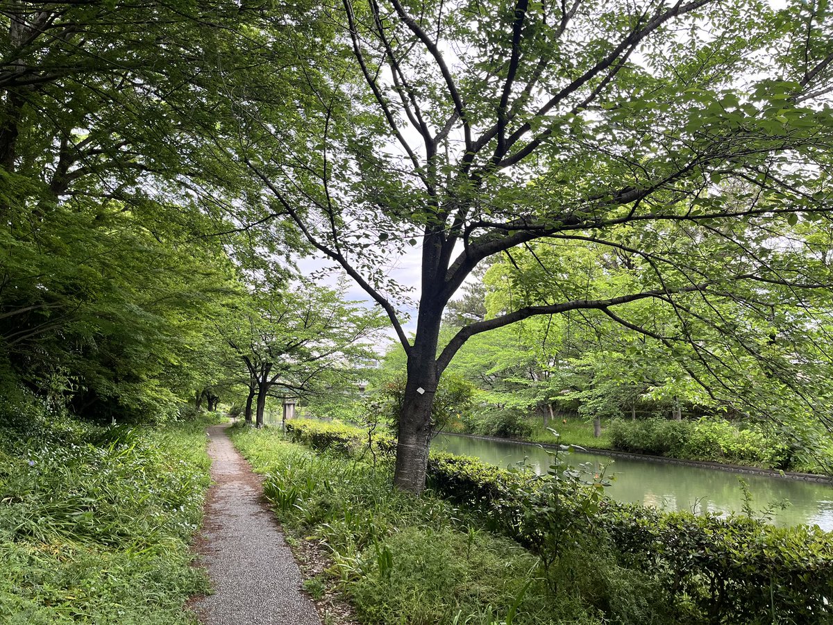 香枝 tweet media