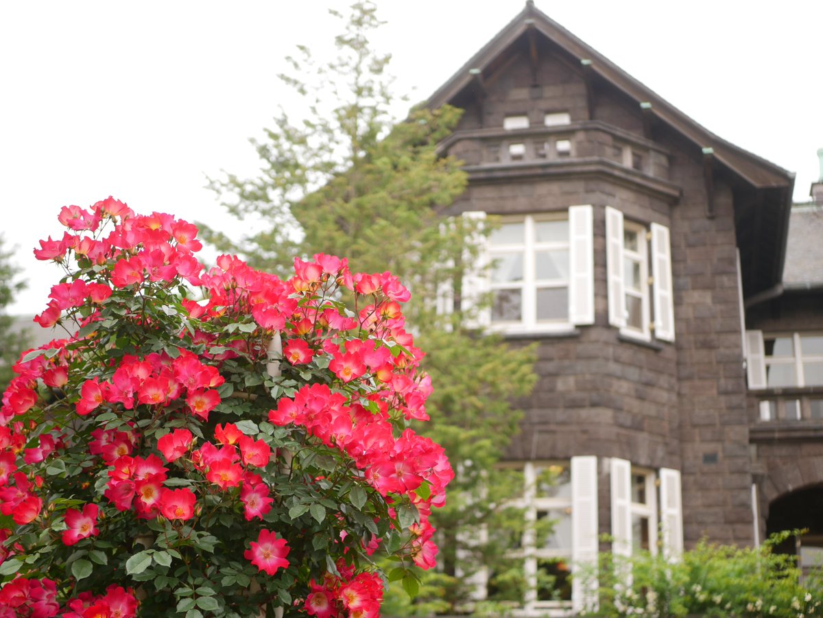 沢木(さわちゃん)@5/5 東２と58a 5/6 西１エ12b tweet media