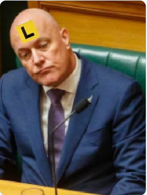 Christopher (No Portfolio's)Luxton (CEO) tweet media